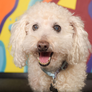 Fundraising Page: Robyn Anes